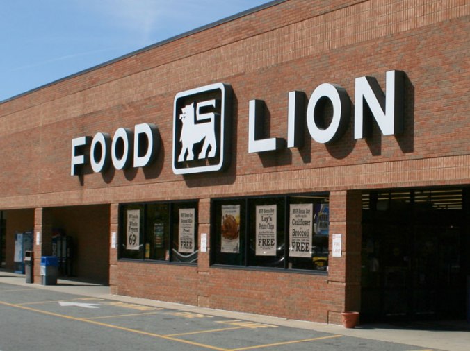 food-lion-main-image